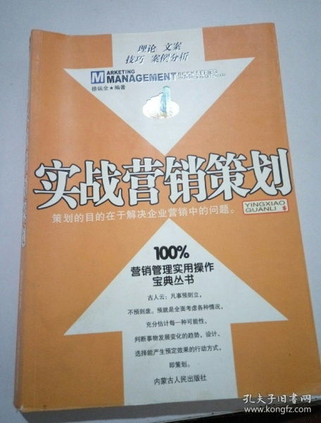 從問(wèn)題到方案 實(shí)戰(zhàn)營(yíng)銷(xiāo)策劃與企業(yè)管理咨詢(xún)的融合之道